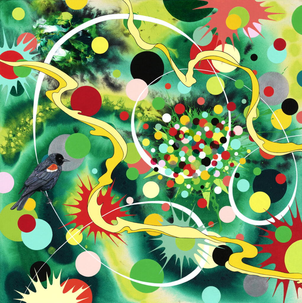 Electric Life Forever, (tricolored blackbird), 2021, 26 x 26 inches, acrylic on canvas.