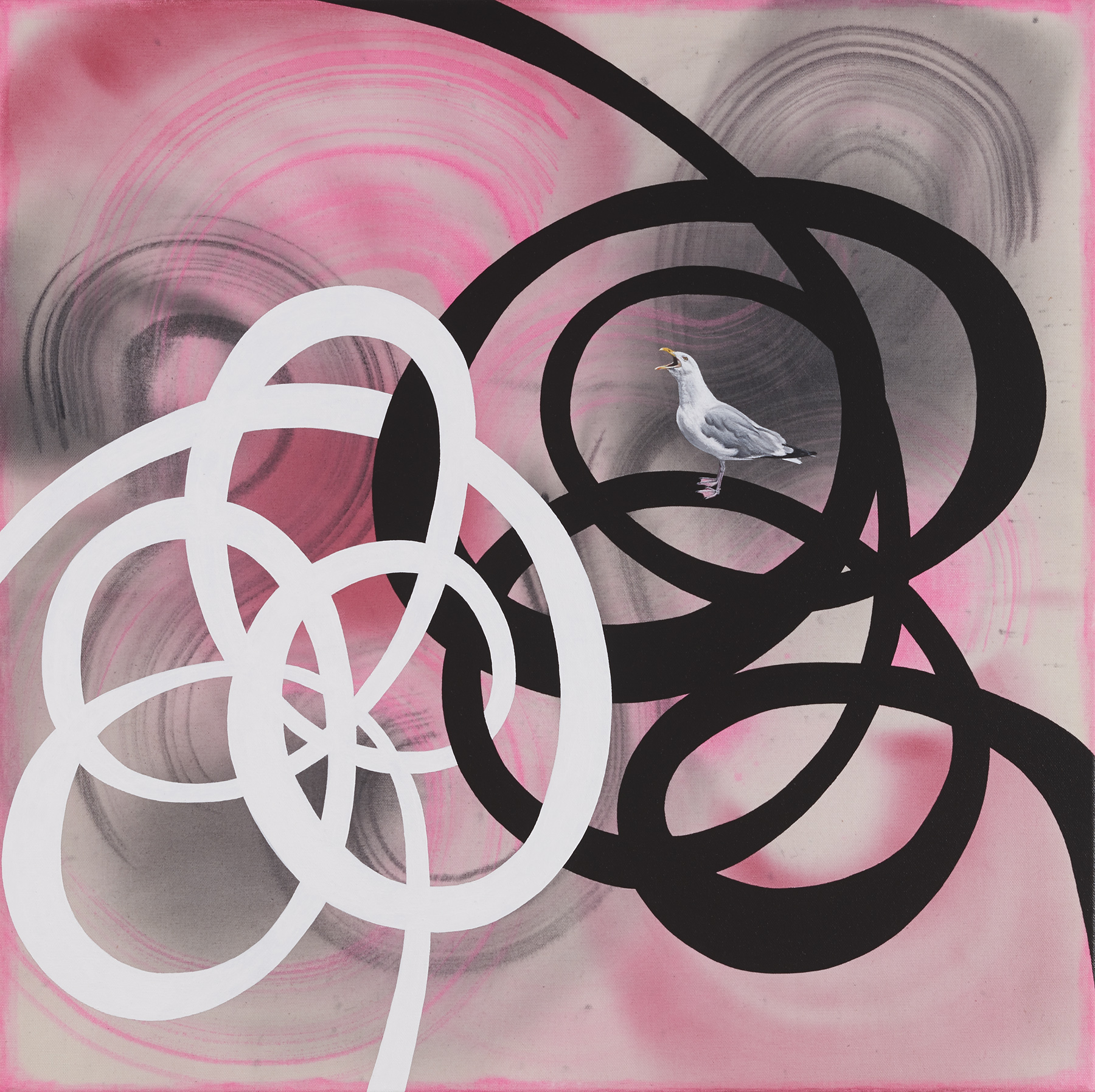 Seagull, 2014, 24 x 24 inches, acrylic on canvas, Collection of Recology, San Francisco, CA.