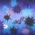 Nocturne #1 (Townsend's big-eared bat)