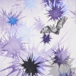 Nocturne #2 (Townsend's big-eared bat)