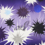 Nocturne #4 (Townsend's big-eared bat)